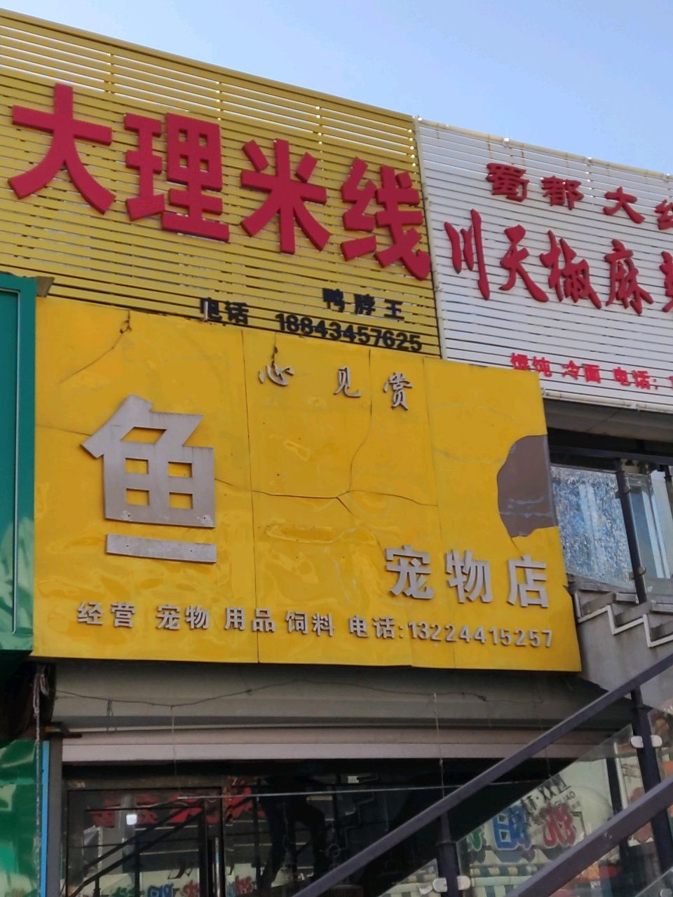 鱼宠物店