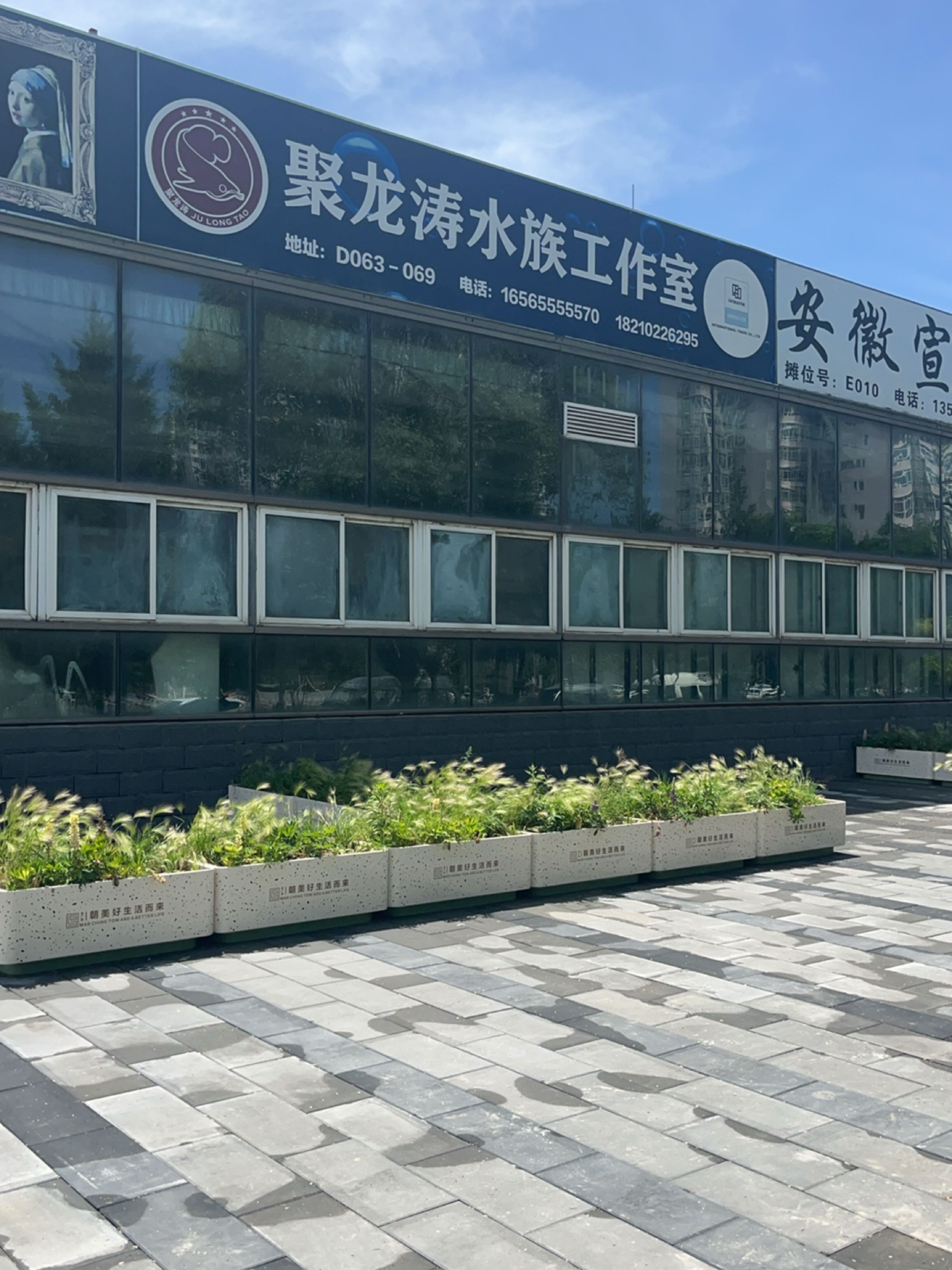 聚龙涛水族工作室