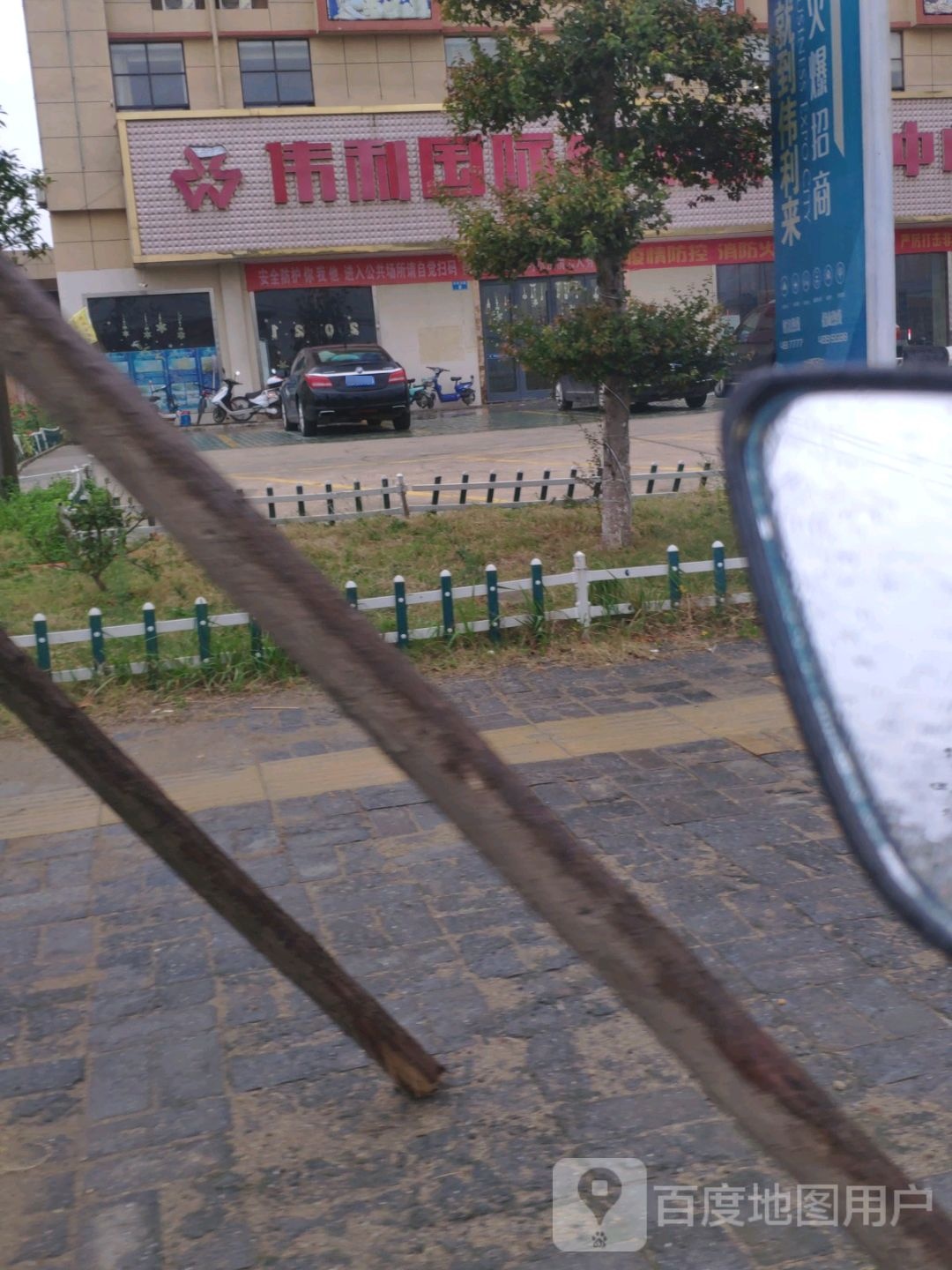 伟丽国际