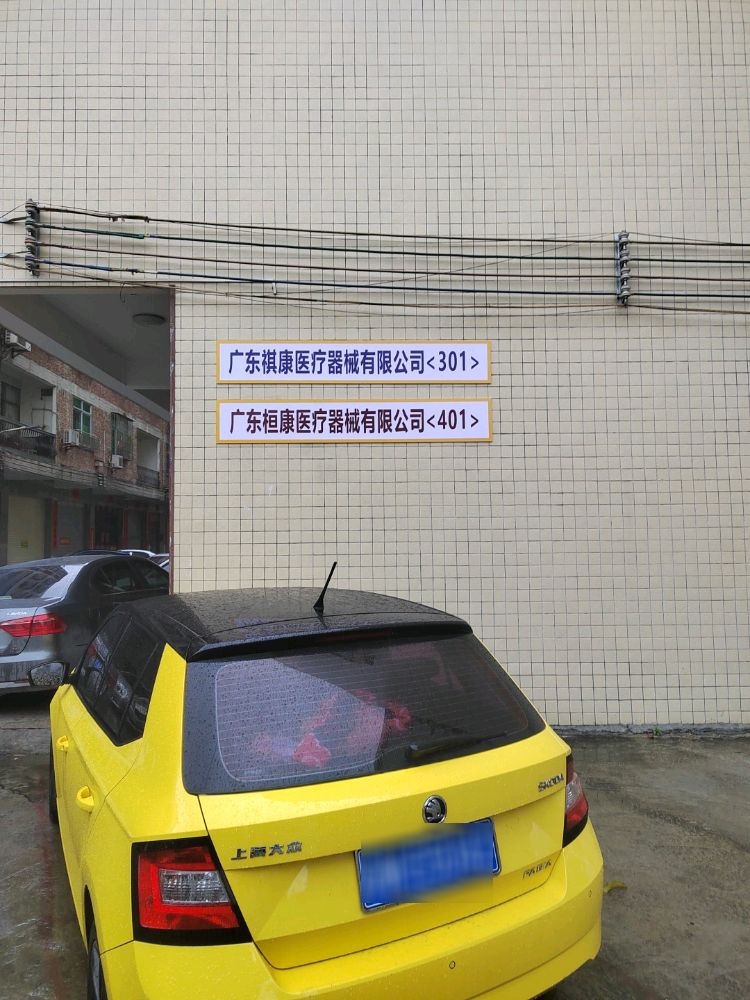 广东祺康医疗器械有限公司
