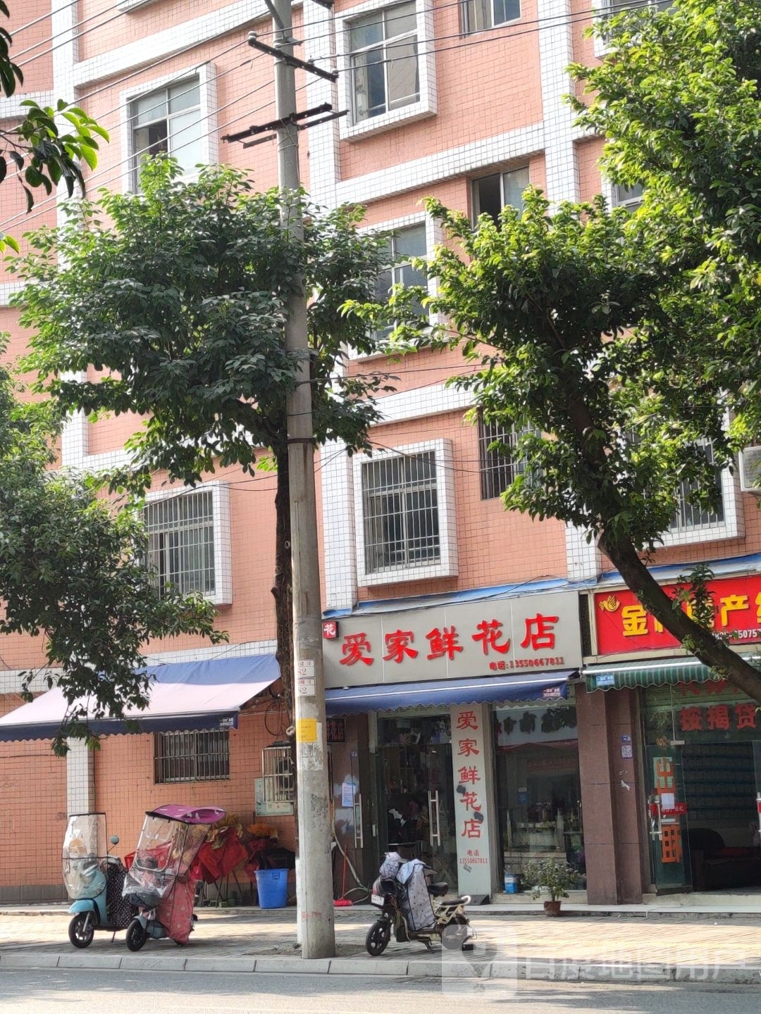 爱家鲜花(旌东店)