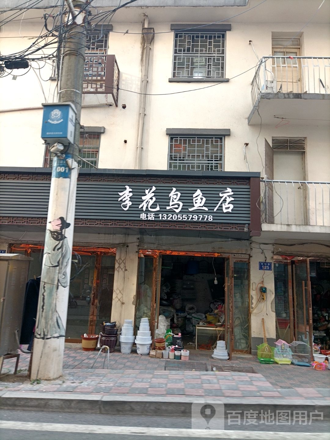 李花鸟鱼店