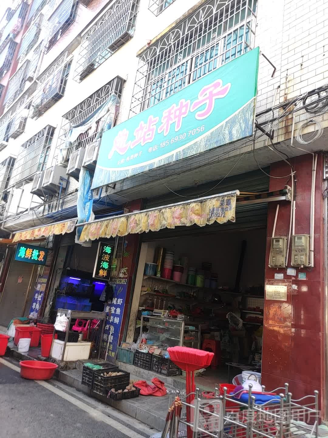 海波海鲜批发行