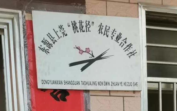 东源县上莞桃花径农民专业合作社
