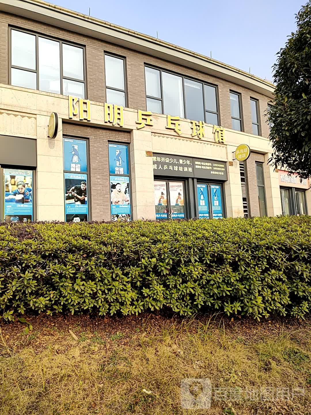 杨明乒乓球馆