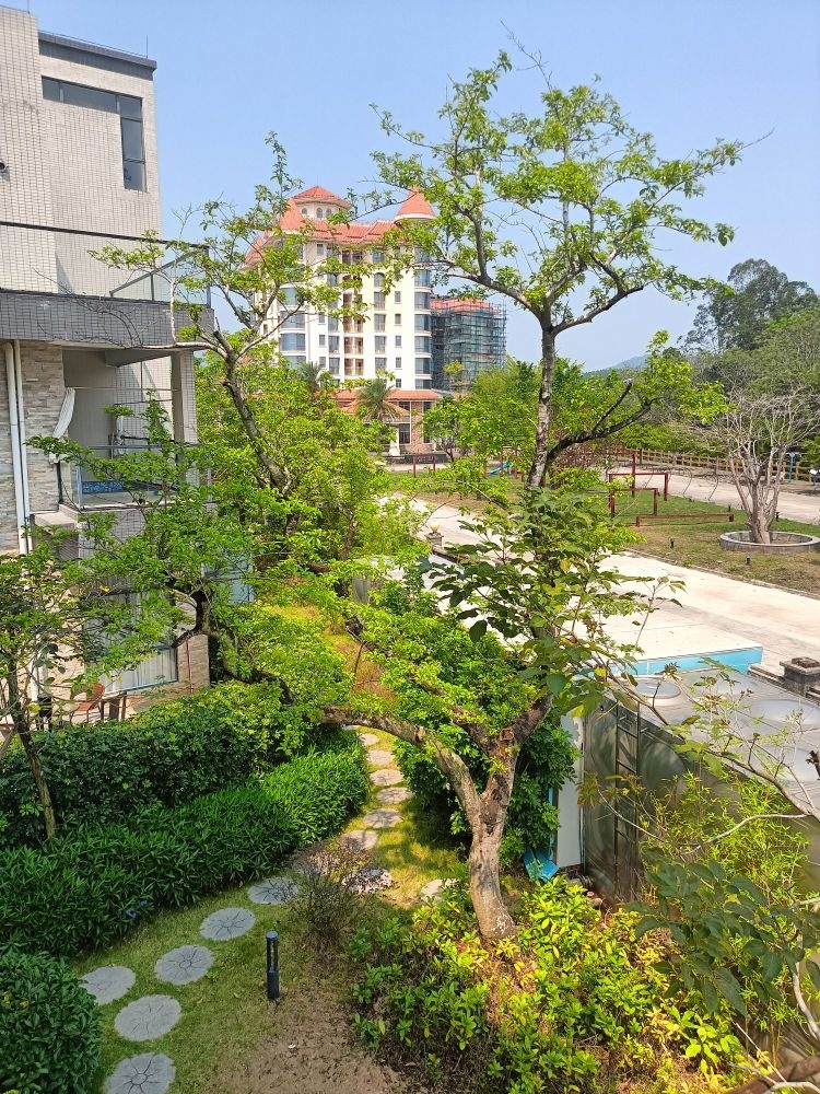 珍野民宿