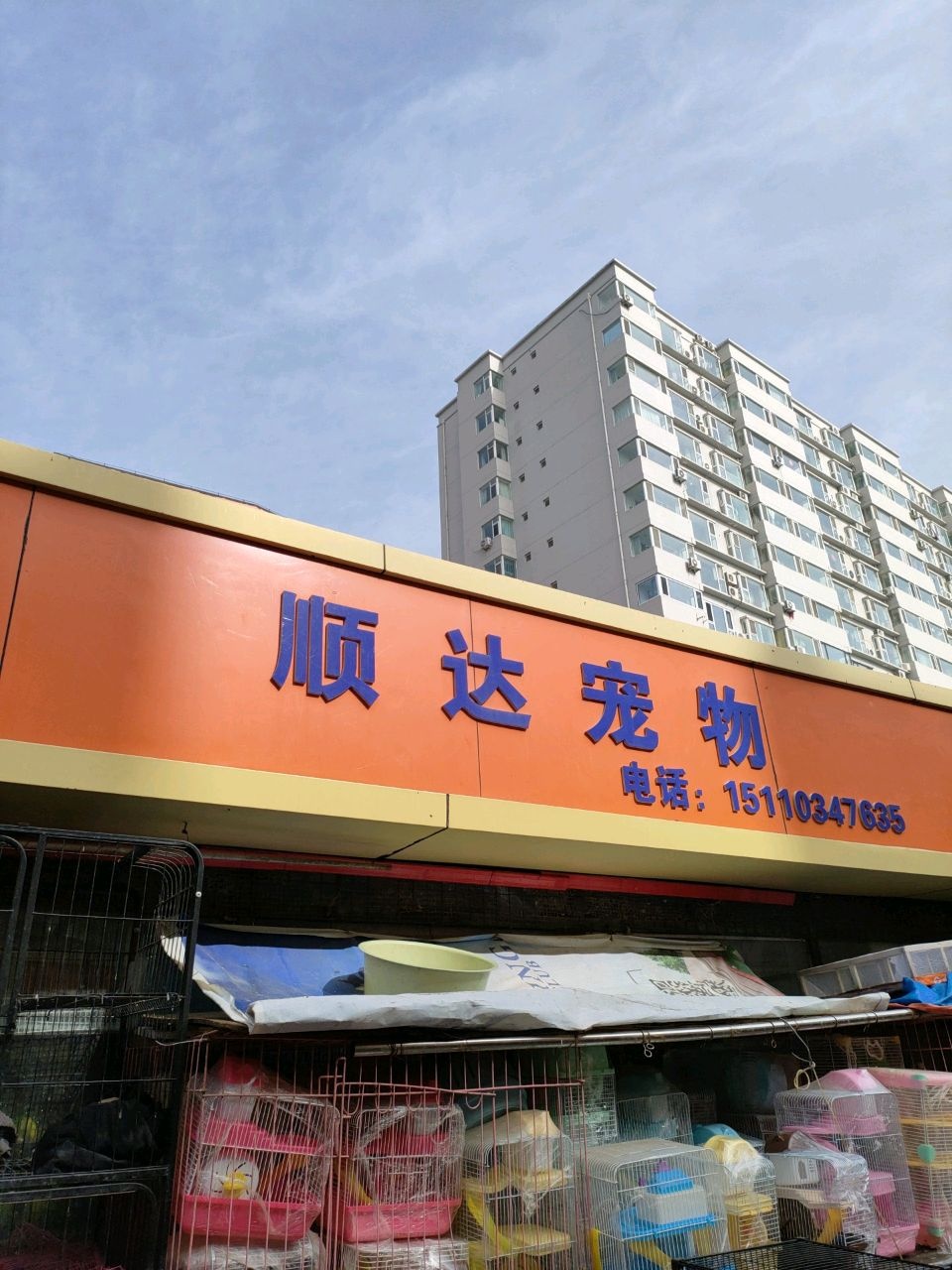 顺达宠物