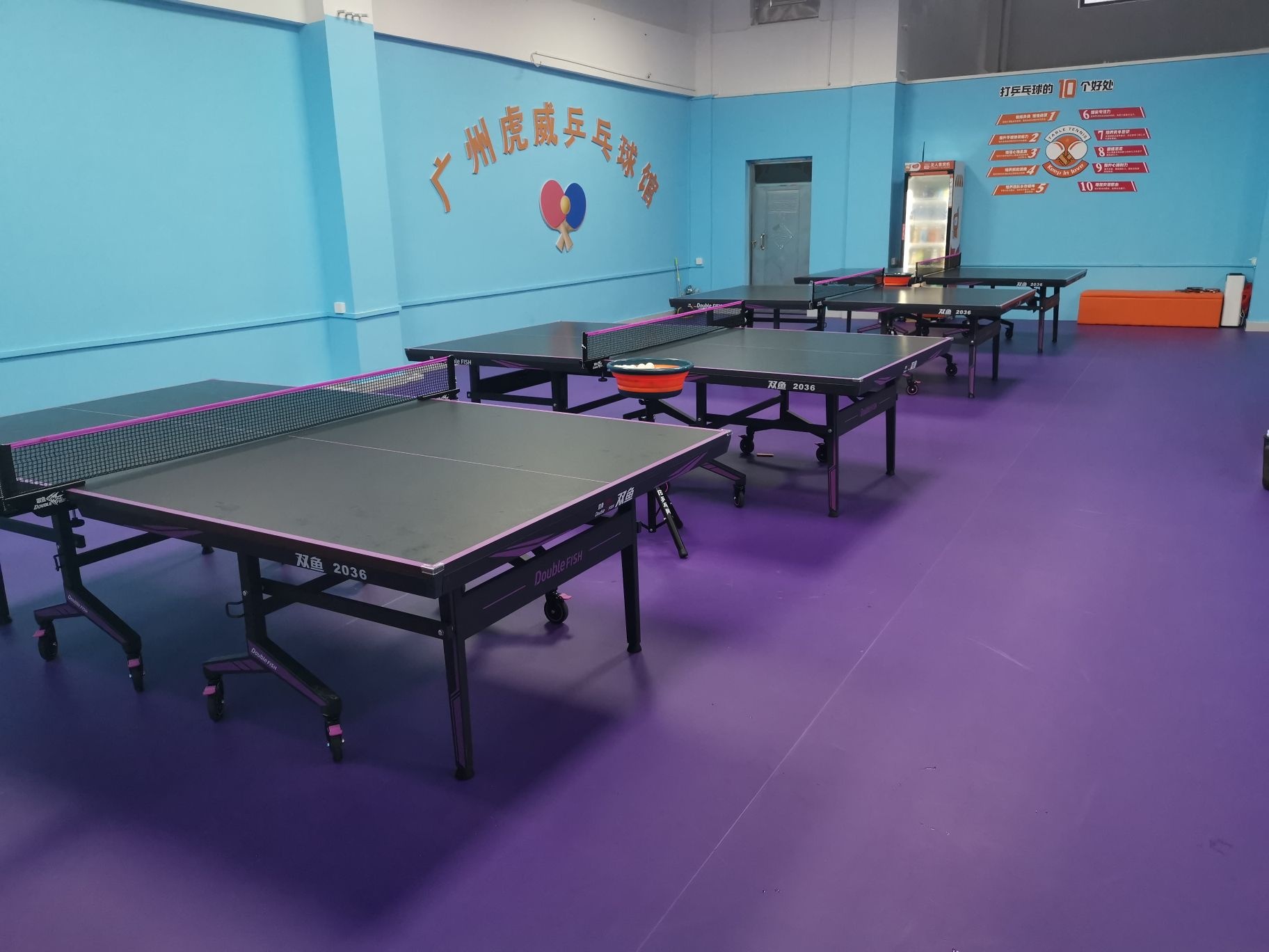 虎威乒乓球馆