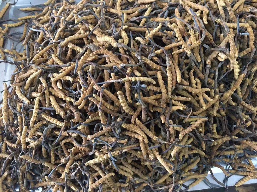 兴美烟酒回收礼品茅台酒洋酒虫草燕窝老酒