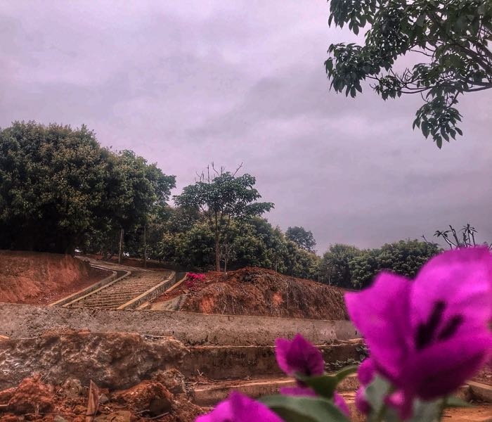 东岸镇沙坡森林公园