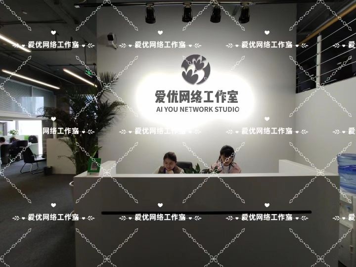 乐至县爱优网络