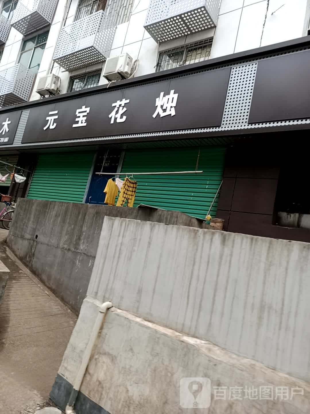 元宝花烛