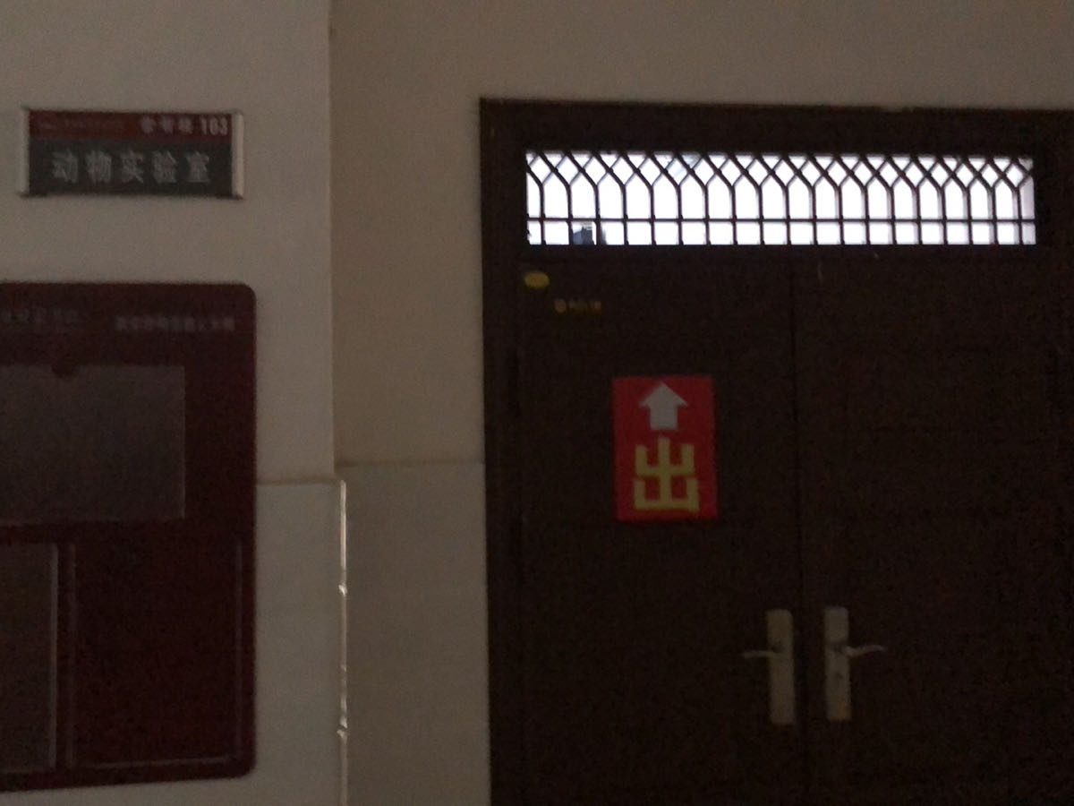 广西民族师范学院-动物实验室