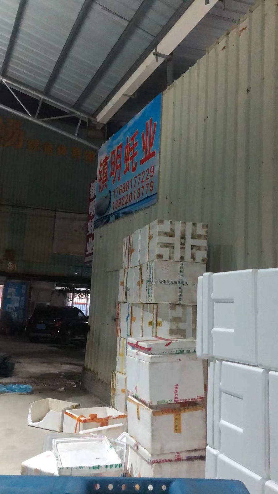 镇明蚝业