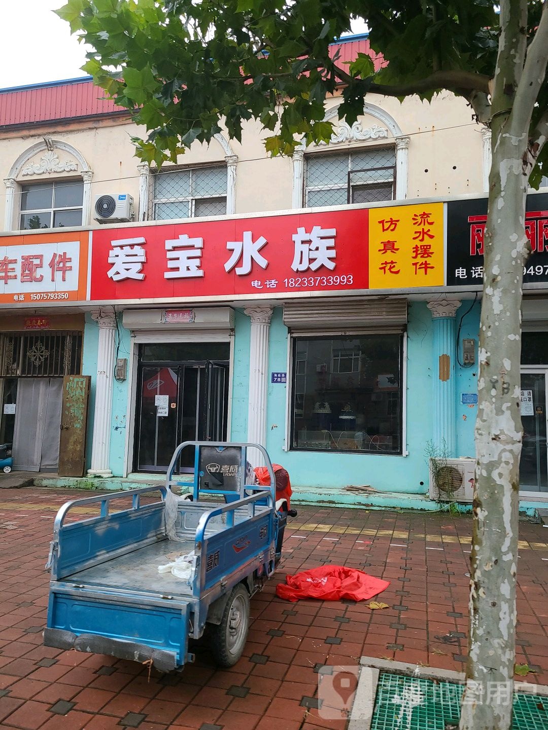 爱宝水族