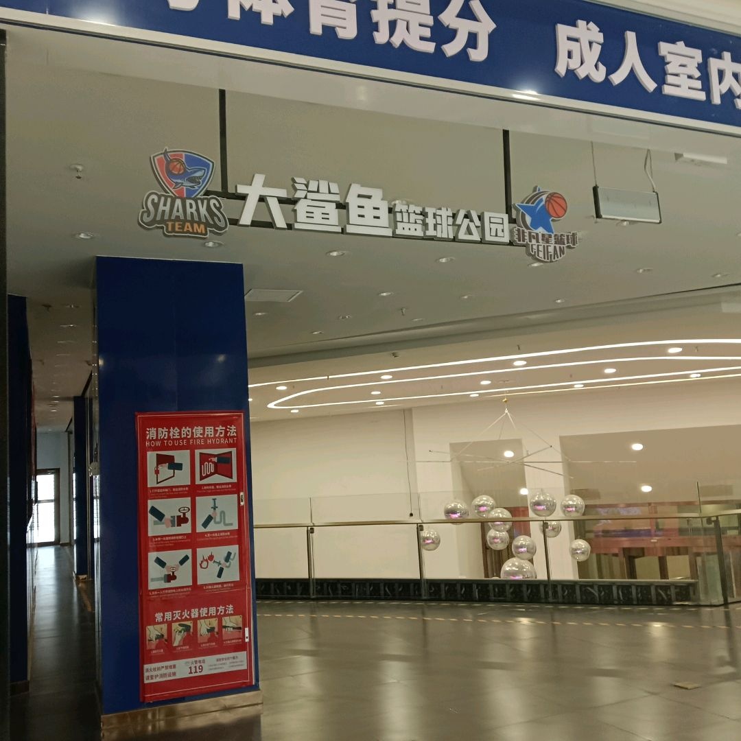 大鲨鱼篮球公园(西宁王府井购物中心店)