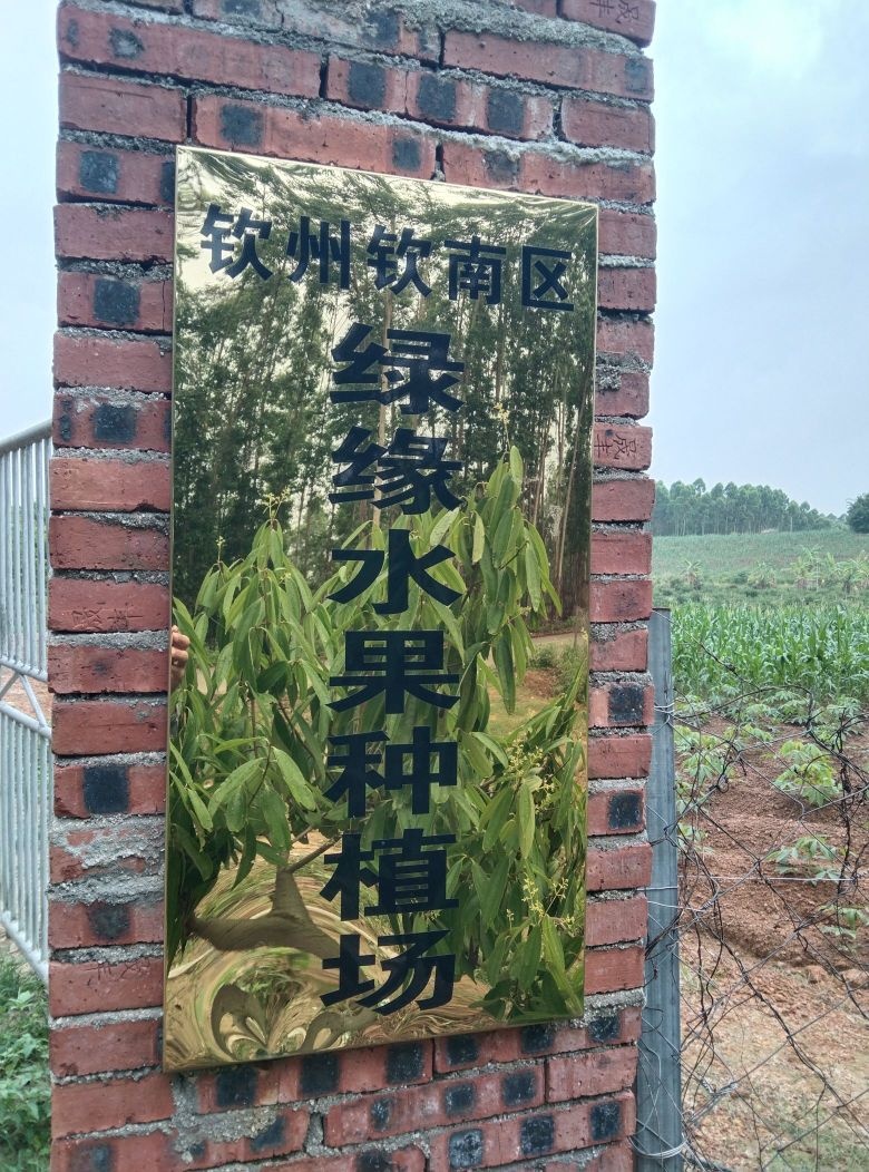 绿缘水果园