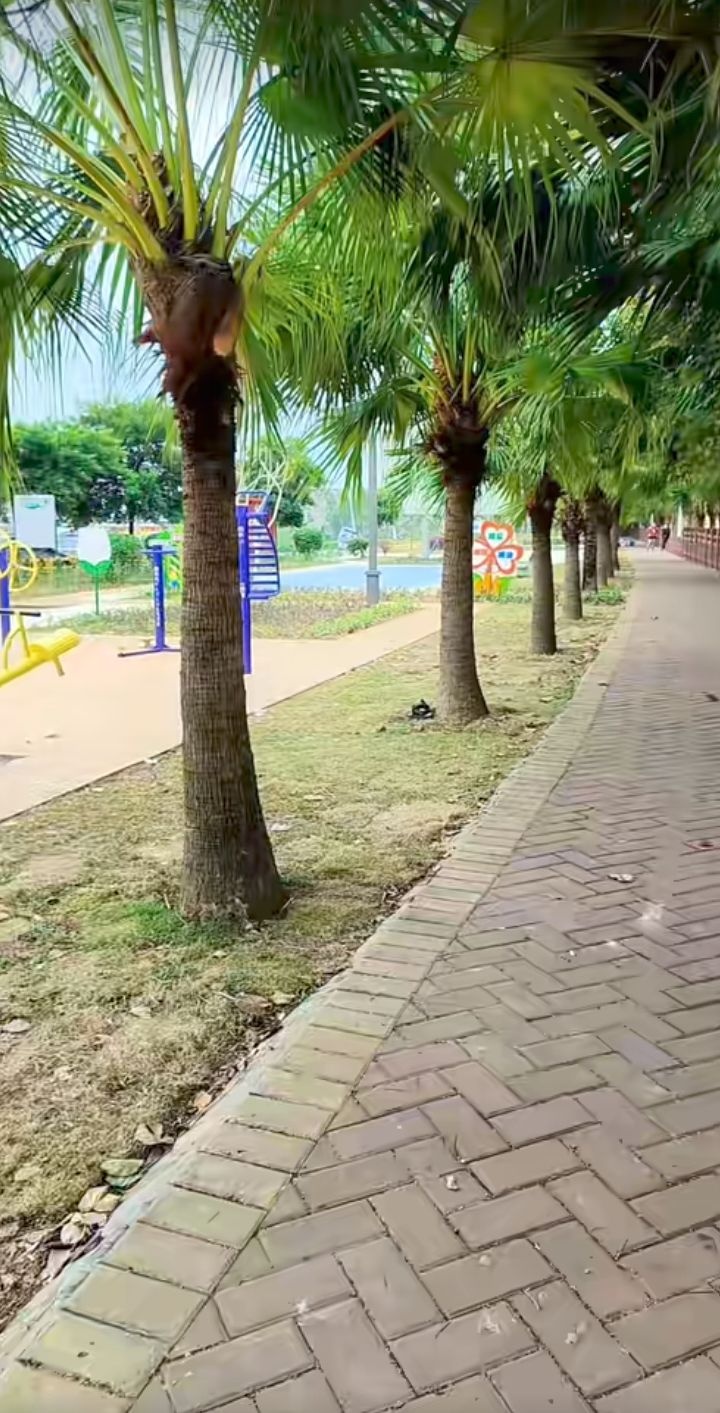 好心合江体育公园