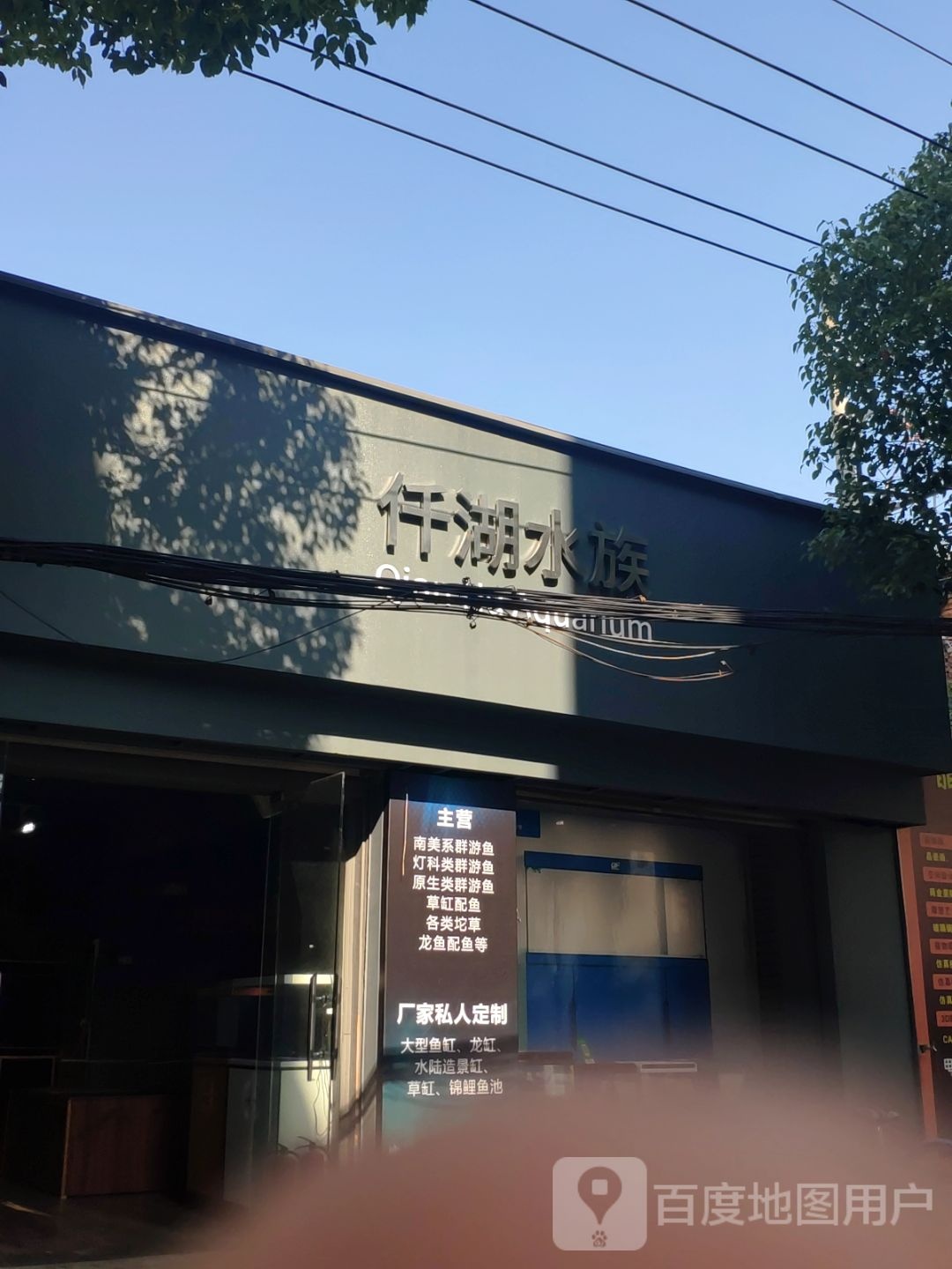 仟湖水族(花鸟巷)