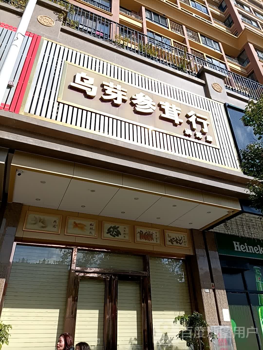 乌芽参茸行(润泽店)