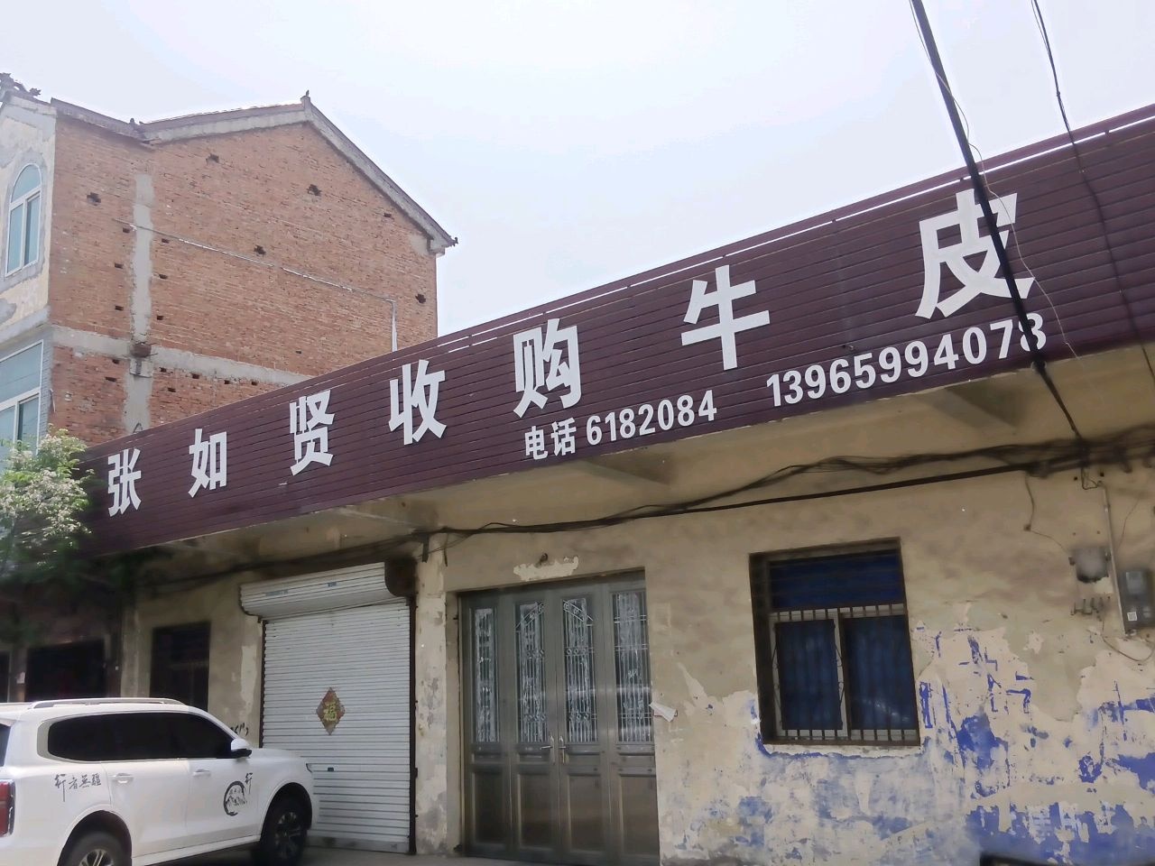 张如贤收购牛皮