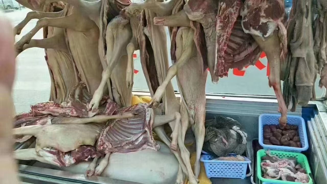 蚝源雷州羊庄(百姓美食街店)