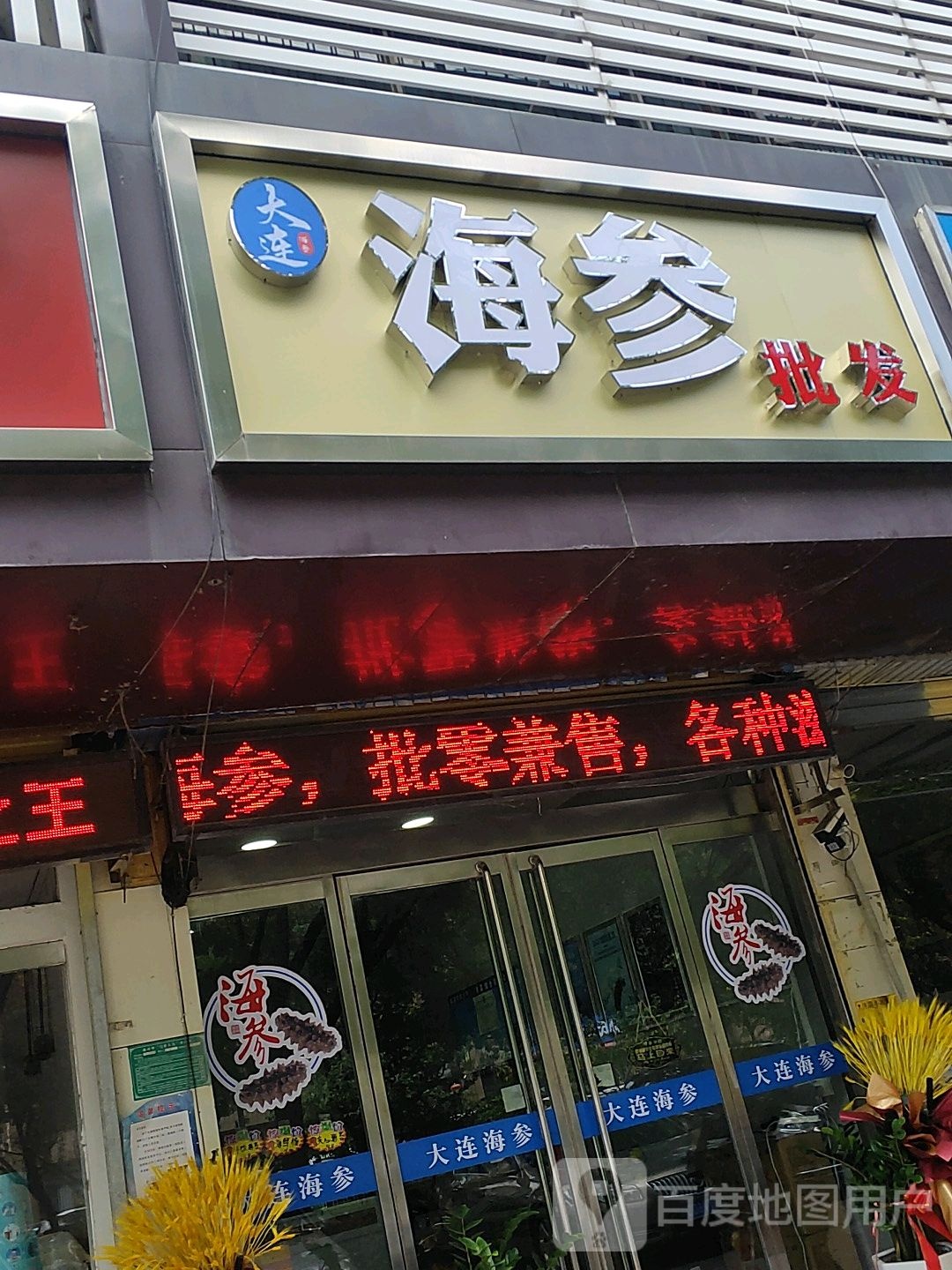 大连海参批发