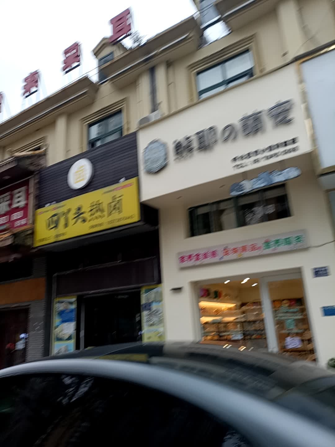 熊耶の萌宠(金丝熊·仓鼠宠物)