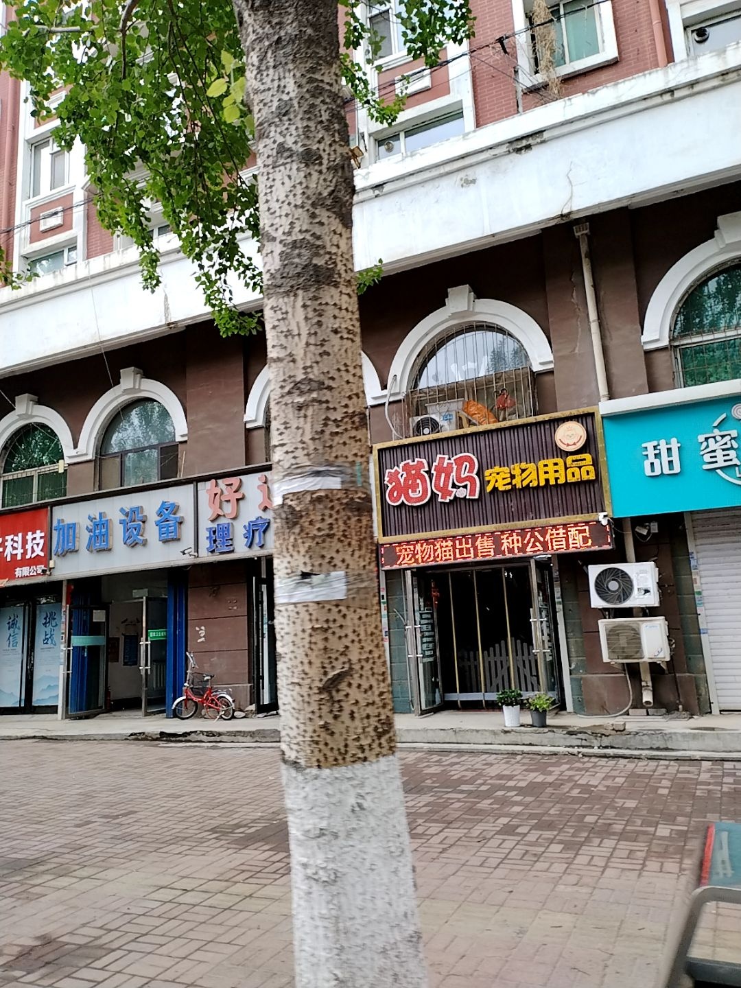 臻宠洗护·猫妈宠物用品