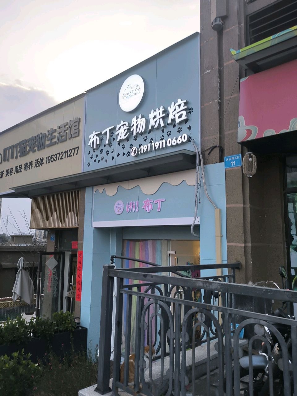 布丁宠物烘焙馆