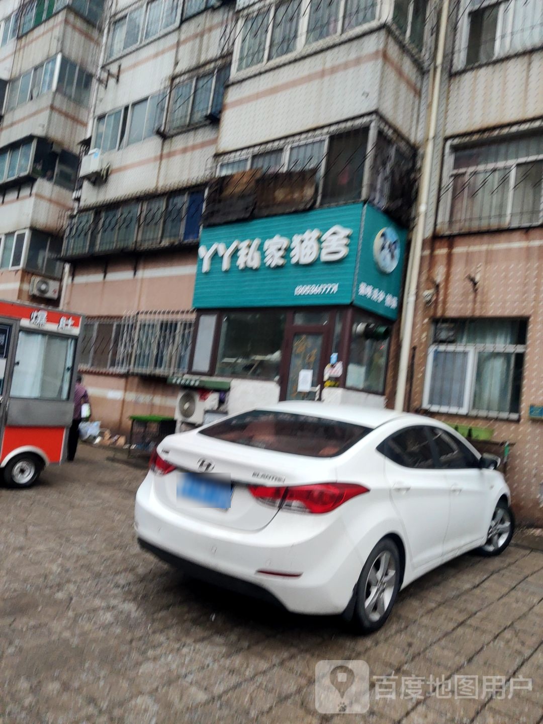 丫丫私家猫舍