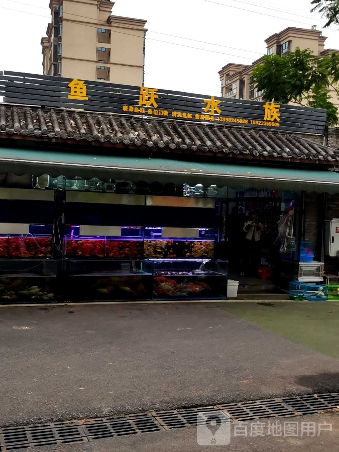 鱼跃水景