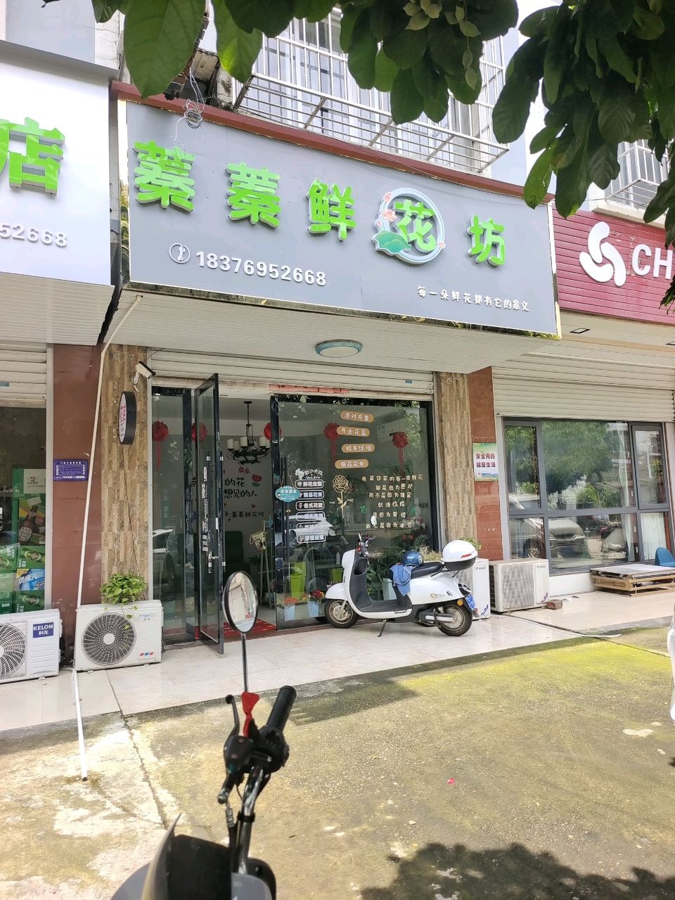 蓁蓁鲜花坊