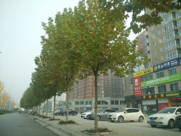常春藤绘本管(孔明路店)