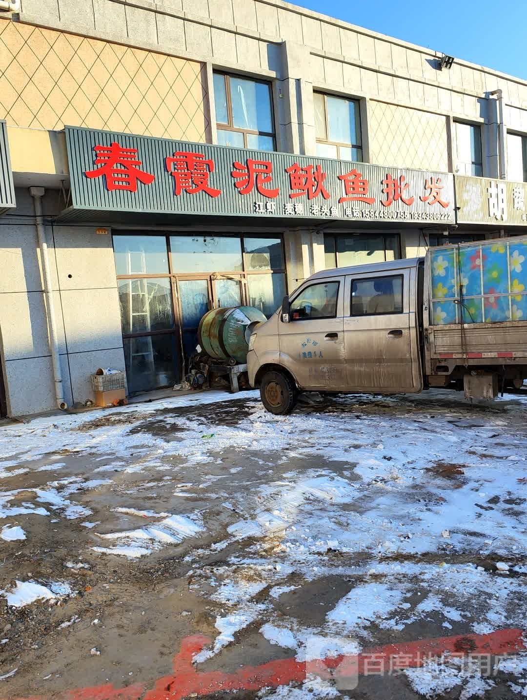 春霞泥鳅鱼批发