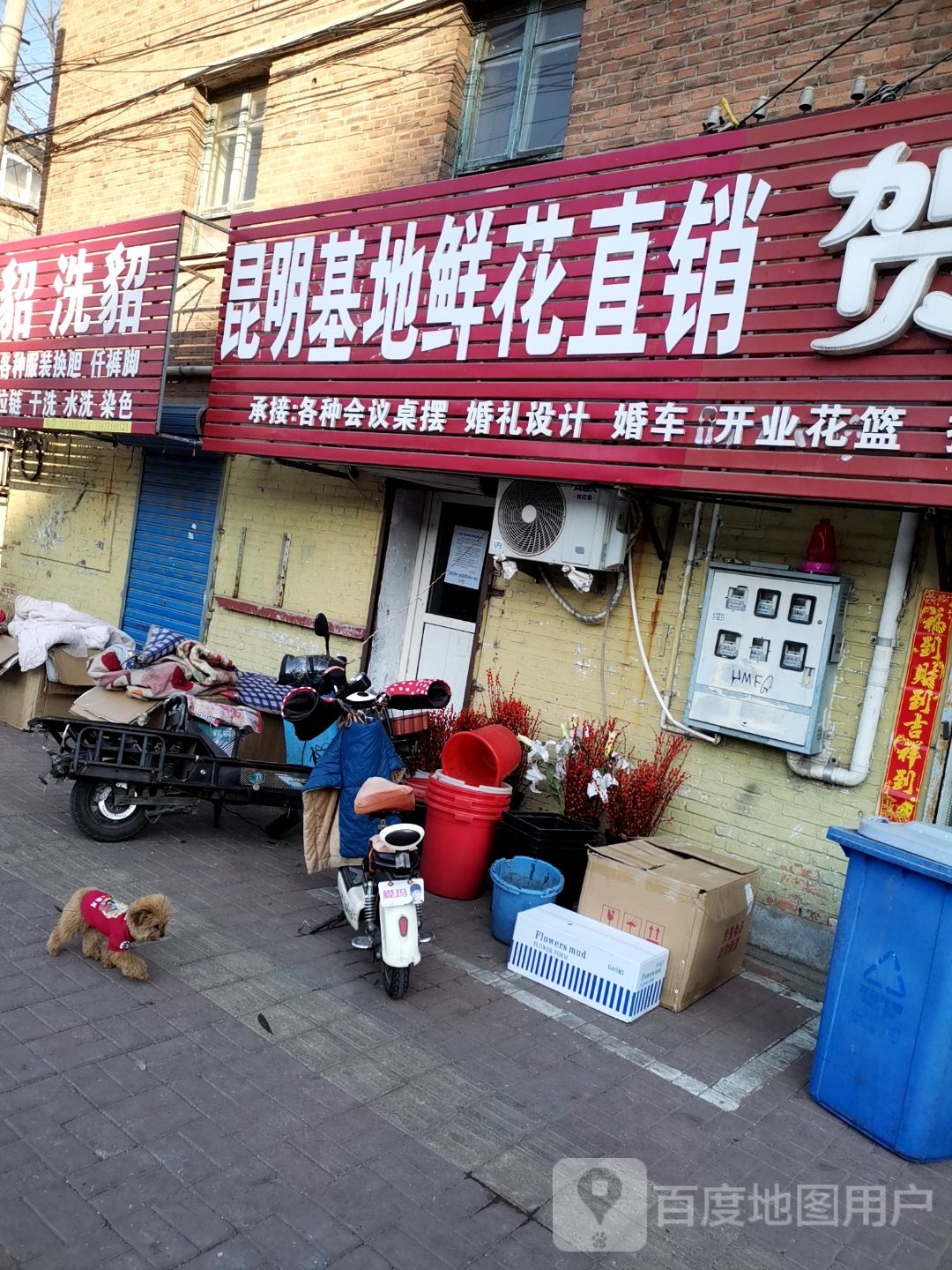 昆明基地鲜花直销