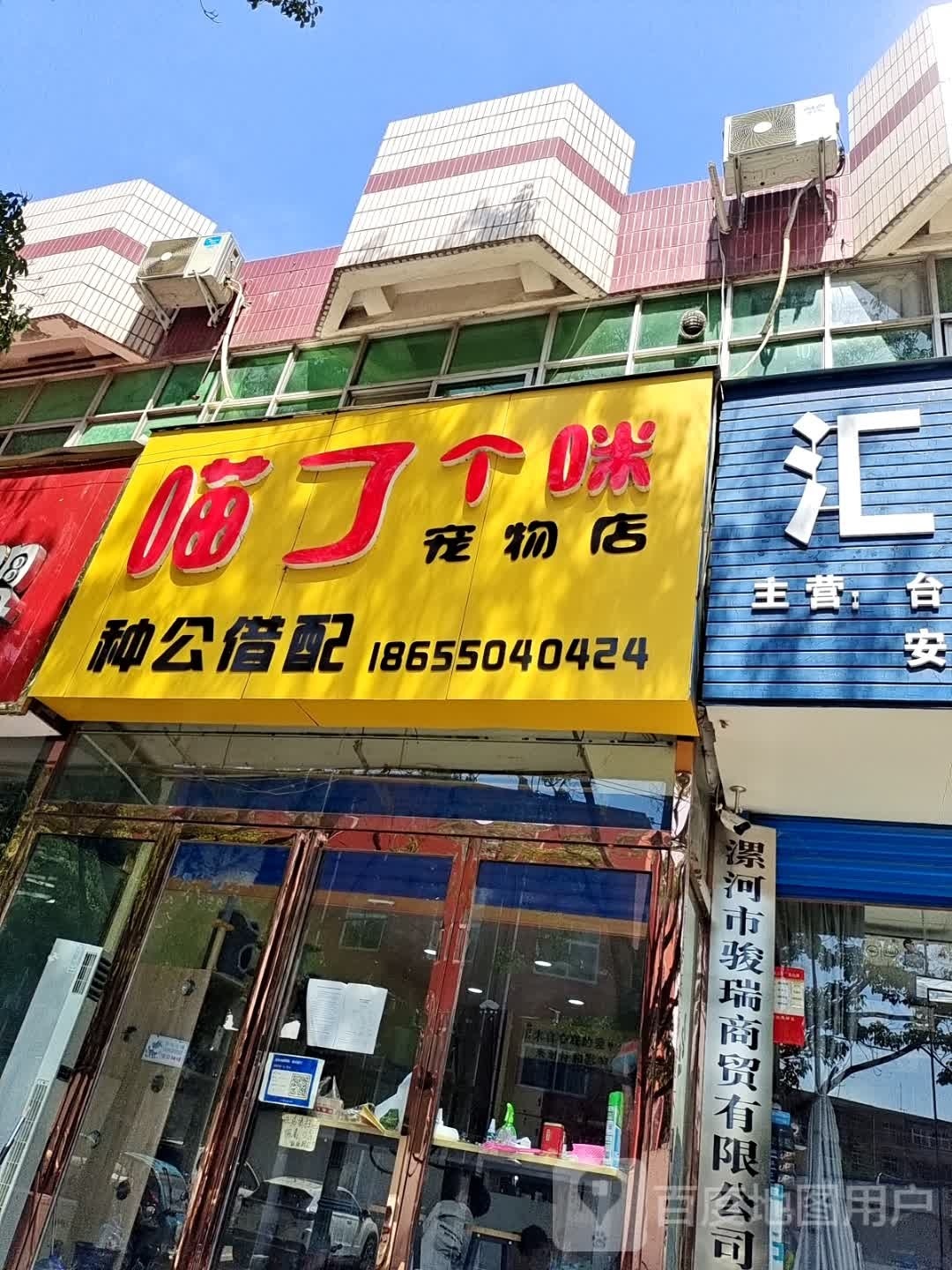 喵了个咪宠物店