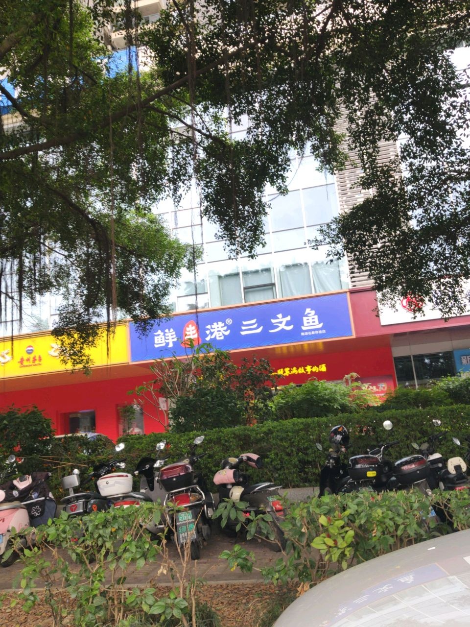 鲜丰港·三文鱼刺身(南湖名都体验店)