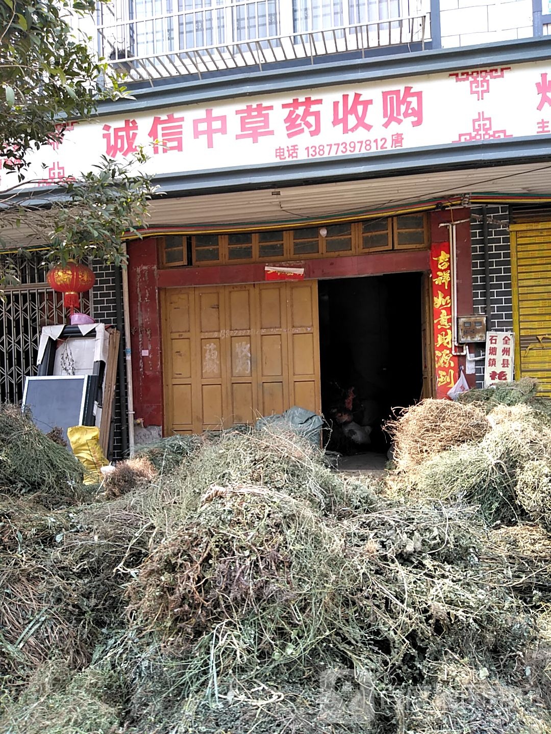 诚信中草药收购