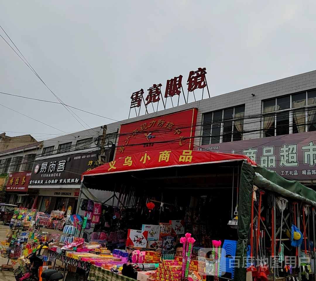 雪亮眼睛(X010店)