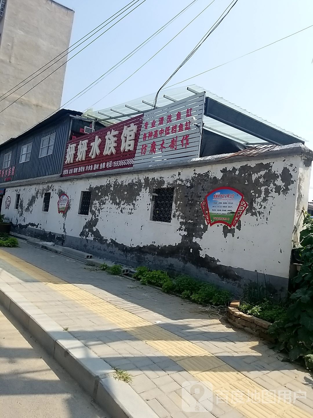 郸城县妍妍水族馆