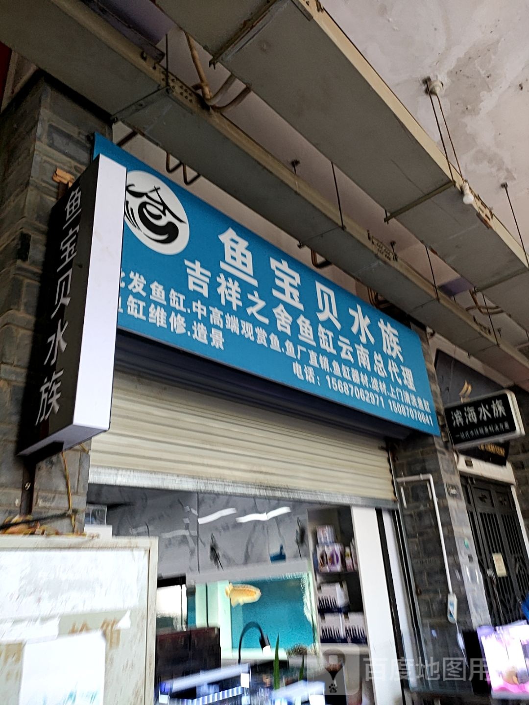 鱼宝倍水族(园博花鸟市场店)