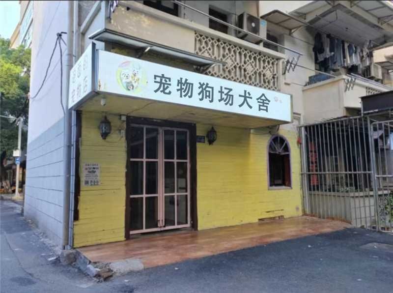 滁州宠物狗场犬舍