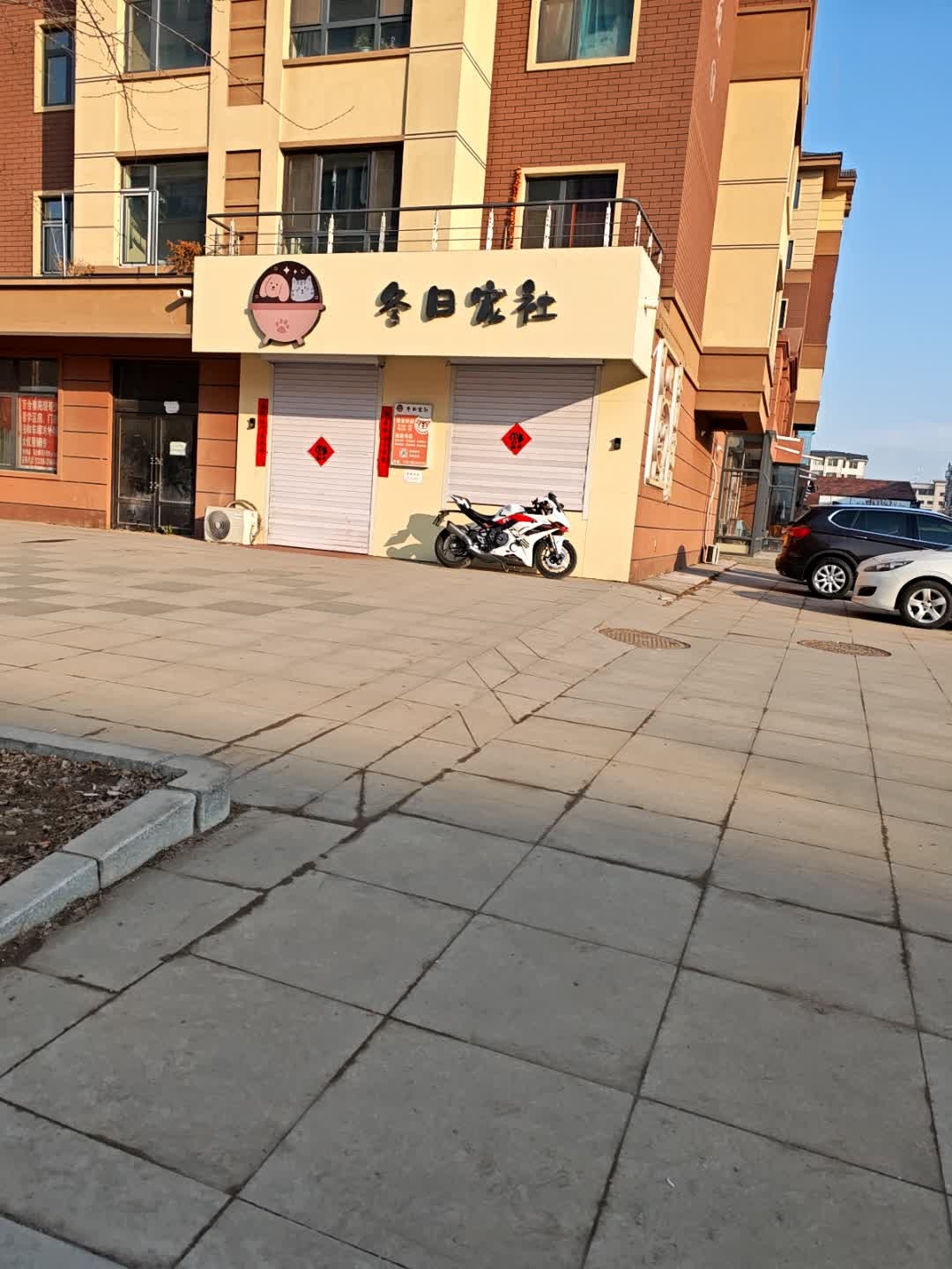 冬日宠社