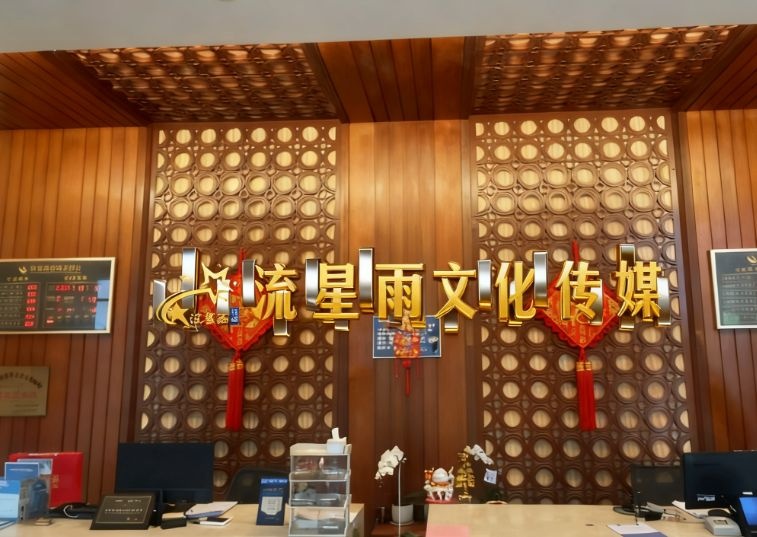 海南流星雨文化传媒有限公司