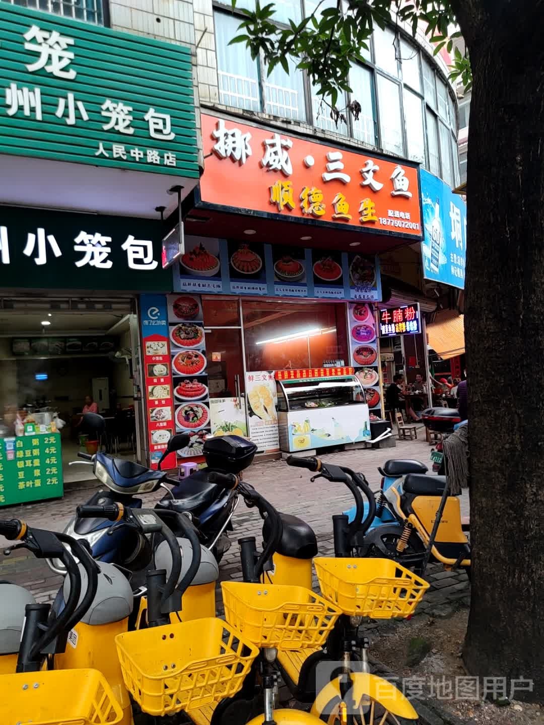 挪威三文鱼·顺德鱼生(垌口大厦店)