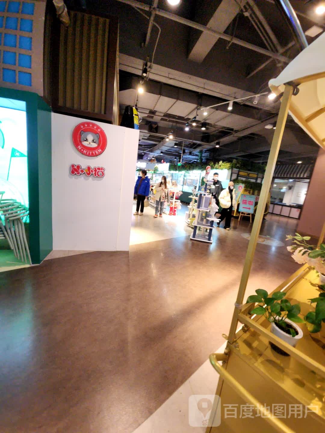 n+小猫(吉林财富购物广场店)