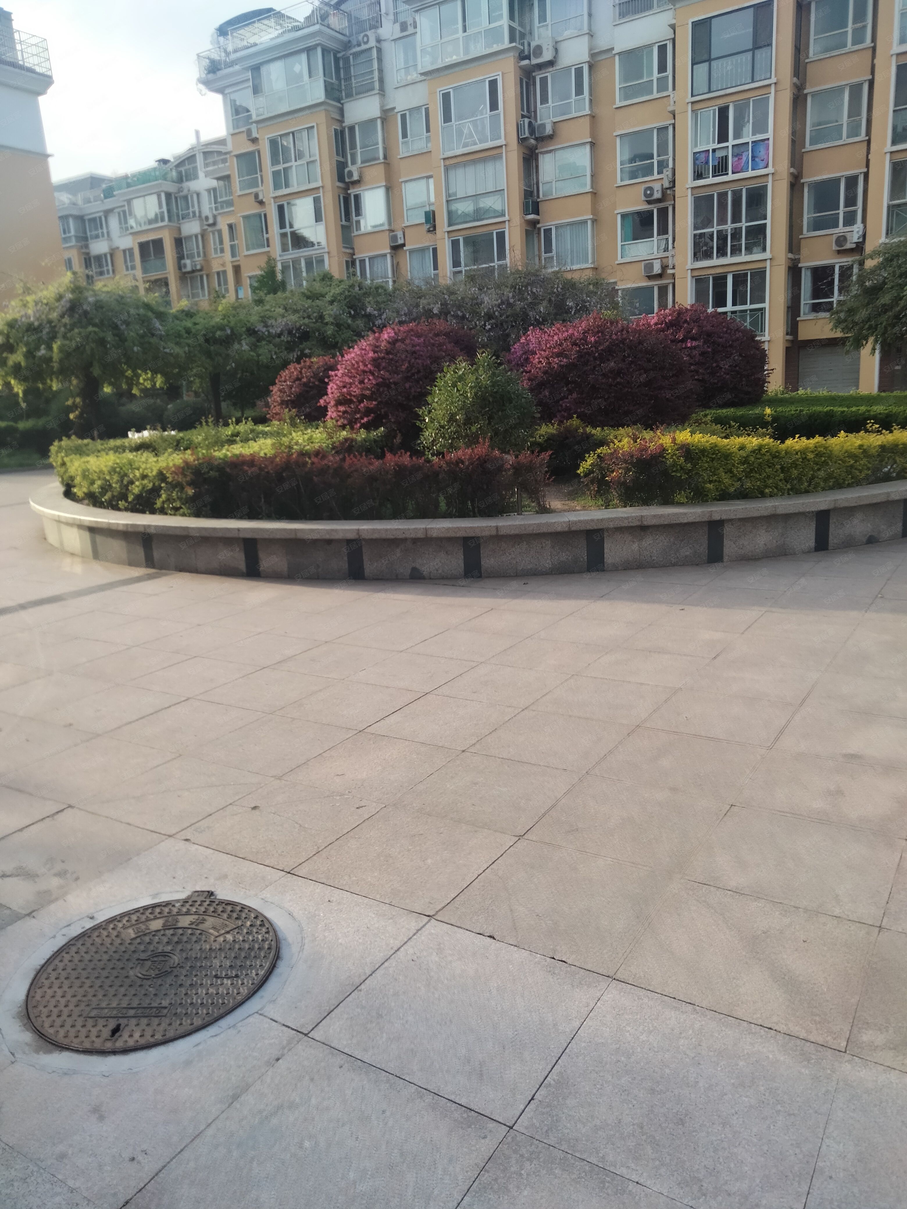 四季圣园-南区