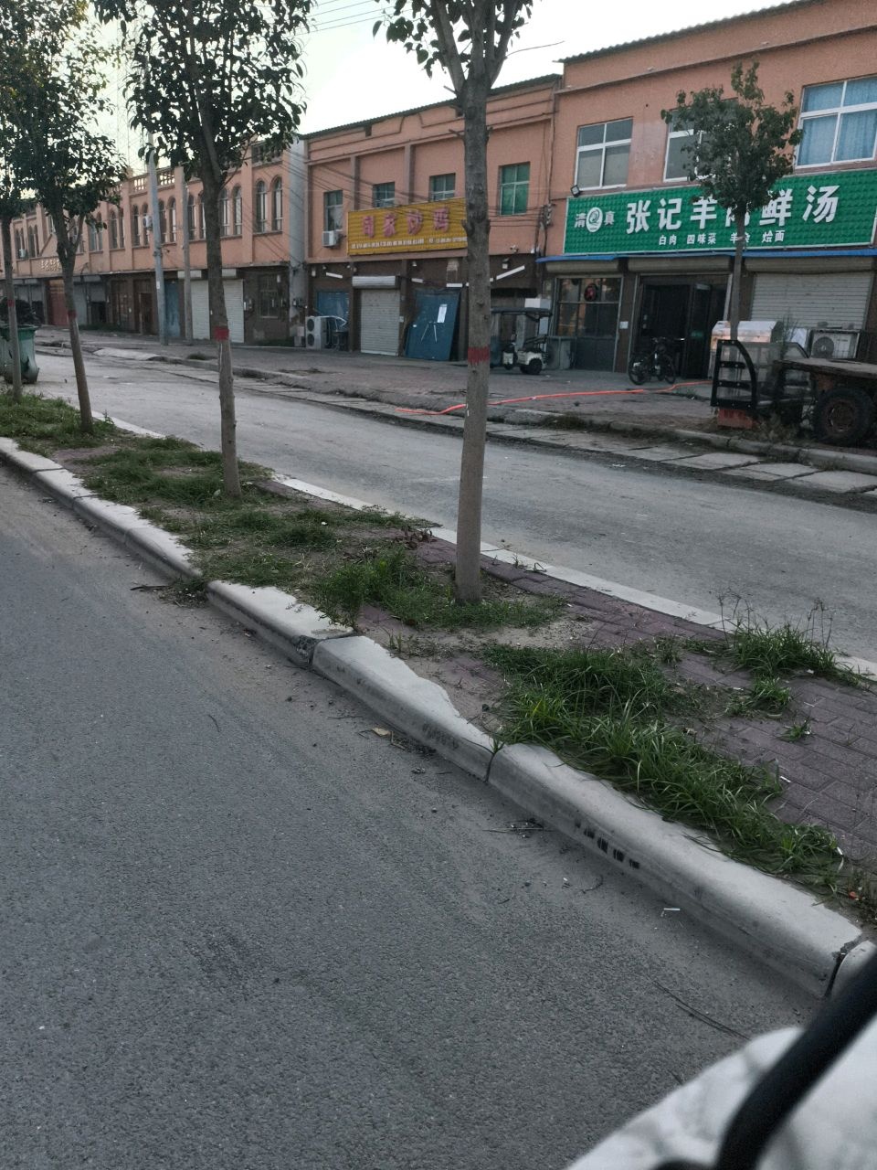 清真张记羊肉鲜汤