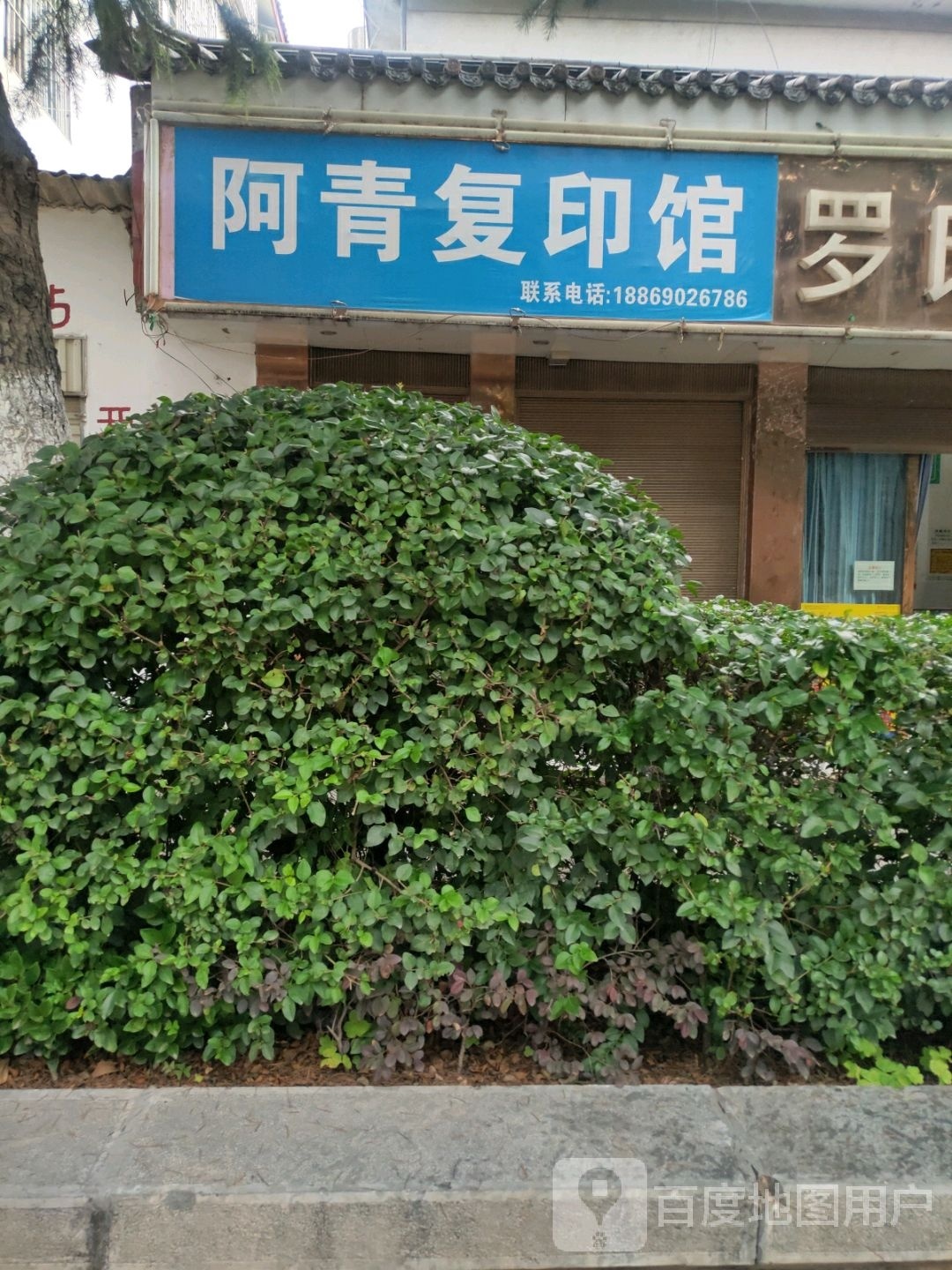 阿青复印馆